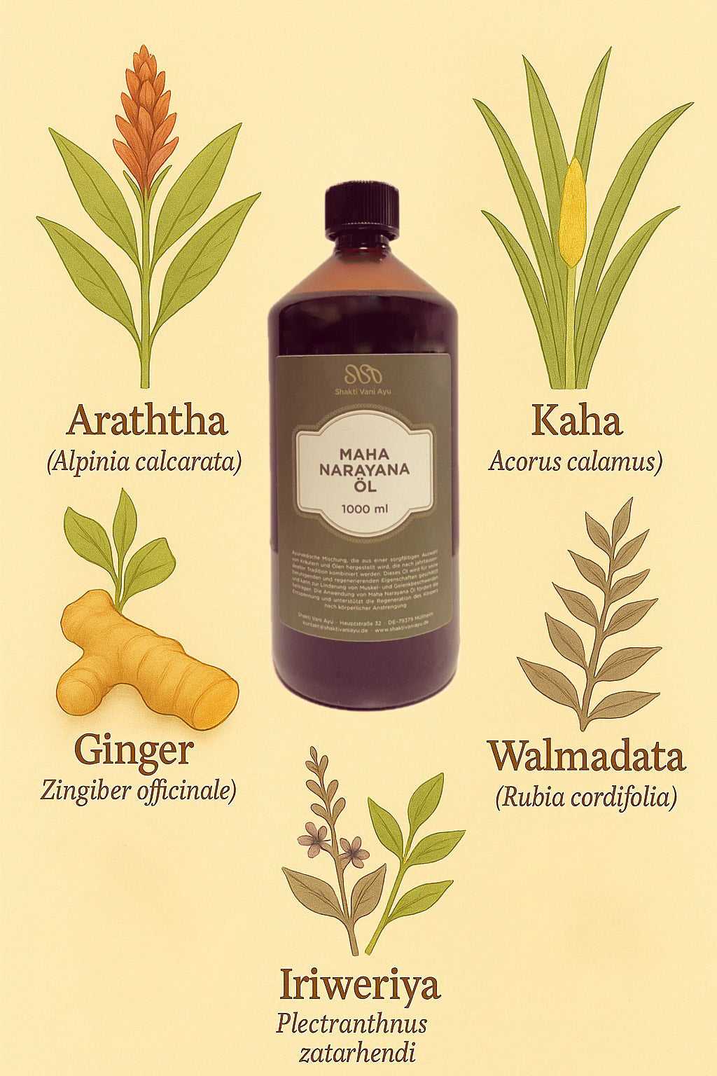 maha narayana tailam, maha narayana öl, mahanarayana öl, mahanarayana thailam öl, ayurveda massageöl, ayurvedisches massageöl, massageöl ayurveda, ayurveda massageöl vata, abhyanga öl, abhyanga massageöl, ayurveda körperöl, wellness massageöl, körperöl natur, massageöl naturrein, massageöl ohne zusätze, pflanzliches massageöl, traditionelles ayurveda öl